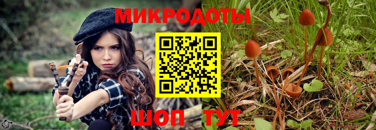 Галлюциногенные грибы ЛСД  Вход с VPN  Тамбов 